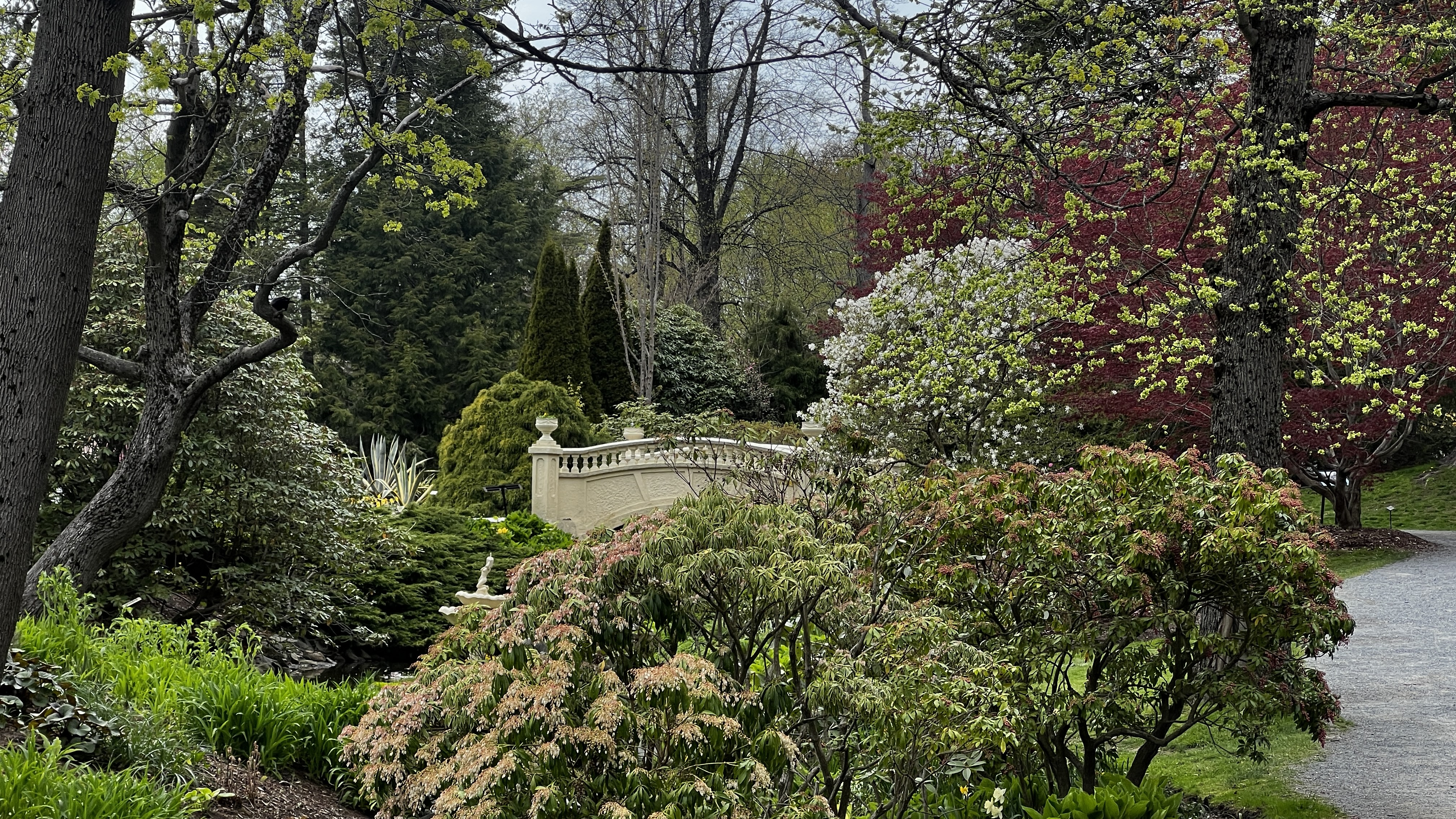 Trees and flowers
